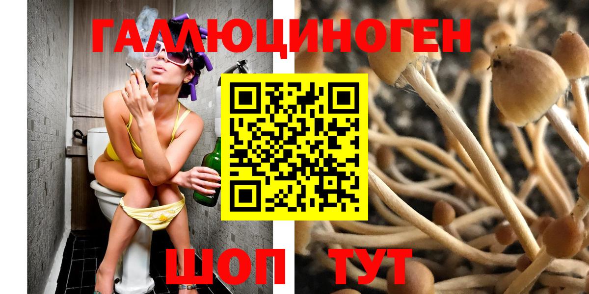 Южно-Сахалинск  Псилоцибиновые грибы Magic Shrooms  Вход с VPN 